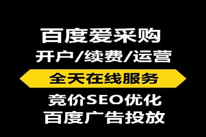 SEM推广优化策略：成功案例解析